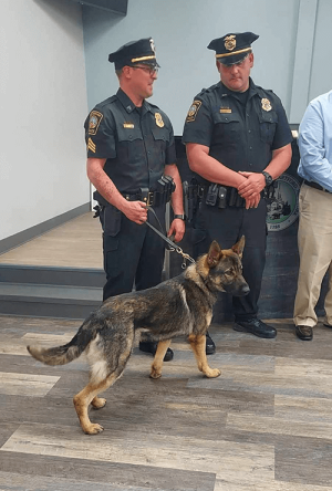 NHPolice K9 5